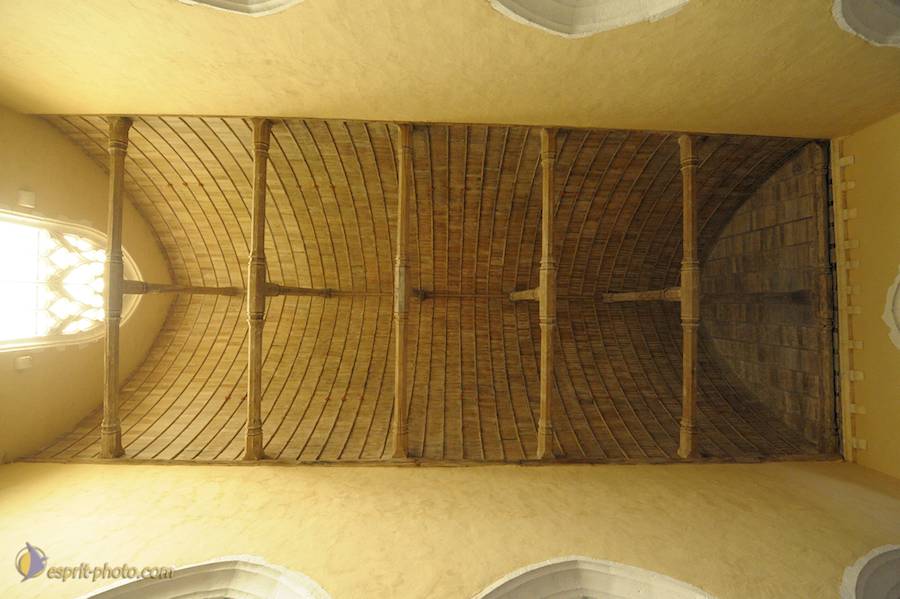 Nom de l'image : D30080467_1_(c)Norbert-JUNG — Description :